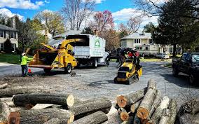 Reliable Porters Neck, NC Tree Care Solutions